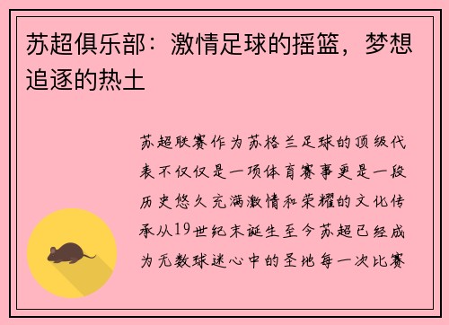 苏超俱乐部：激情足球的摇篮，梦想追逐的热土